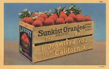 Sunkist Oranges Postcard California Oranges Advertisement Postmark 1948   O2*