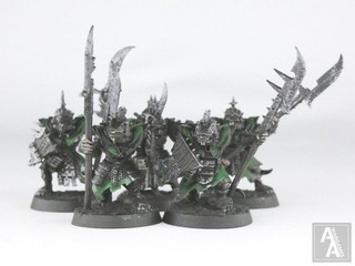(2443) Stormvermin Regiment Skaven Chaos Sigmar Old World Warhammer