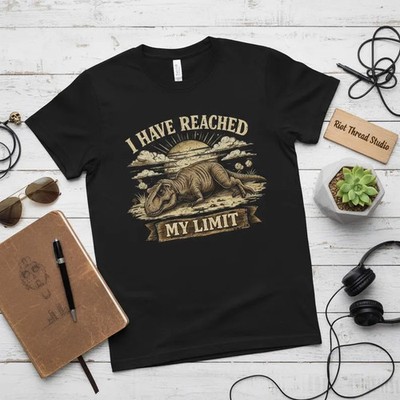 have reached my limit Dinosaur Comfort Tee Funny T-Shirt Gift