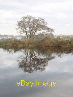 Photo 6x4 Tree and reflection, Exeter Canal Exton/SX9886 Looking east ...