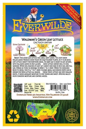 1000 Waldman's Green Leaf Lettuce Seeds - Everwilde Farms Mylar Seed Packet - Picture 2 of 3