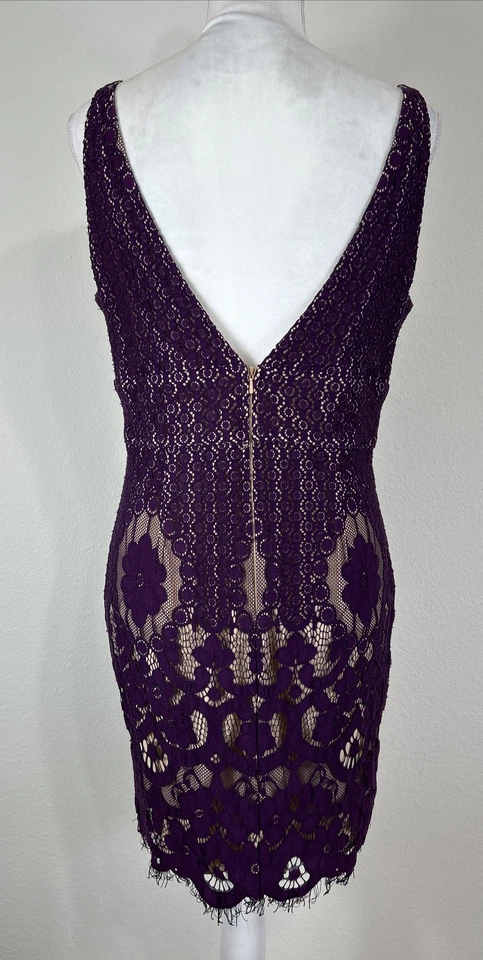 GB на Giani Bini фиолетовый кружева обтяжку платье размер XL (юниоры) - Изображение 2 из 4