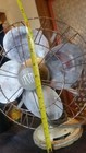 Bild 11 von 12