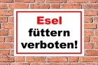 Bild 3 von 5