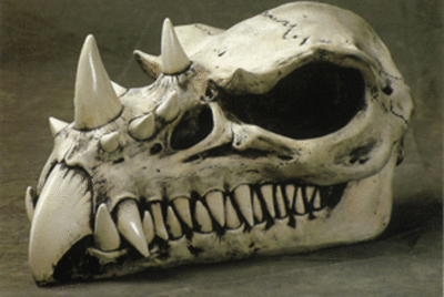 Dragon Skull Bone Finish Sculpture By Design Clinic ,Great Details 