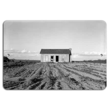 Rustic Homestead on Open Plains