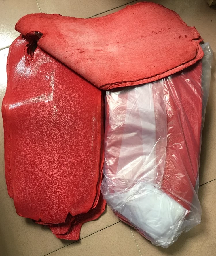 Piel de piel de raya real pulida roja real de 4-10 pulgadas Foto 4 de 4