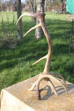 Vintage mid century deer antler table lamp,vintage Deer antler resin floor lamp