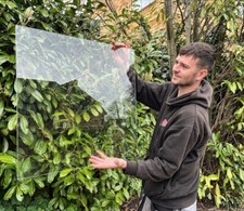 Greenhouse Shed Toughened Glass 610mm x 610mm Replacement Window Glazing
