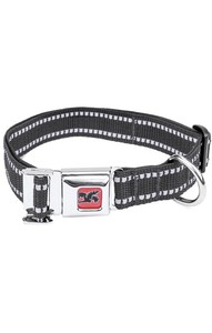 chrome dog collar