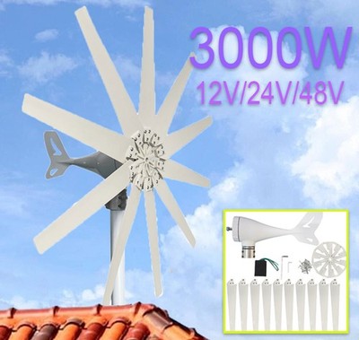 3000W 12/24/48V Wind Turbine Generator 10 Blade & MPPT Controller Windmill Power
