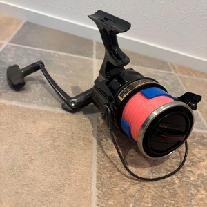 Daiwa Longbeam | eBay UK