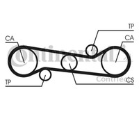 Zahnriemen Continental Ctam CT581 FüR 145 Alfasud Alfa 33 146 Sportwagon Sprint