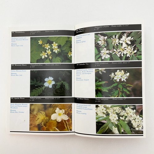 Audubon Society Western Forests Field Guide Softcover Book Stephen Whitney 1985 - Picture 11 of 22