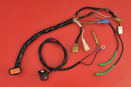 2007 - 2010 KTM450XCF KTM 450XCF Wire Harness Cable Electrical