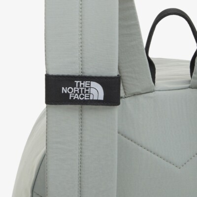 New THE NORTH FACE WL DAY PACK 30 Liter BACKPACK AVOCADO