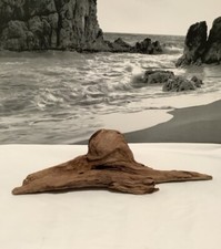 Driftwood ,Large Driftwood For Reptile Cages , Aquariums, Crafting