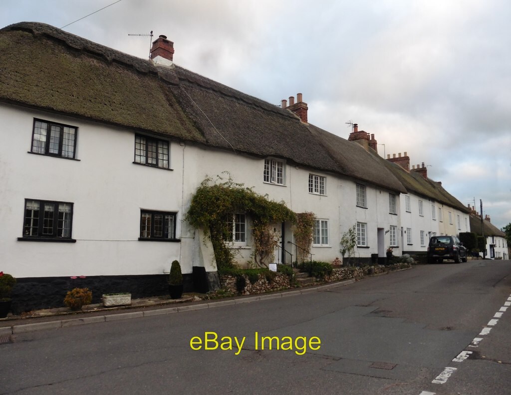 Photo 6x4 Thatched terrace on Chapel Street Sidbury c2018 eBay