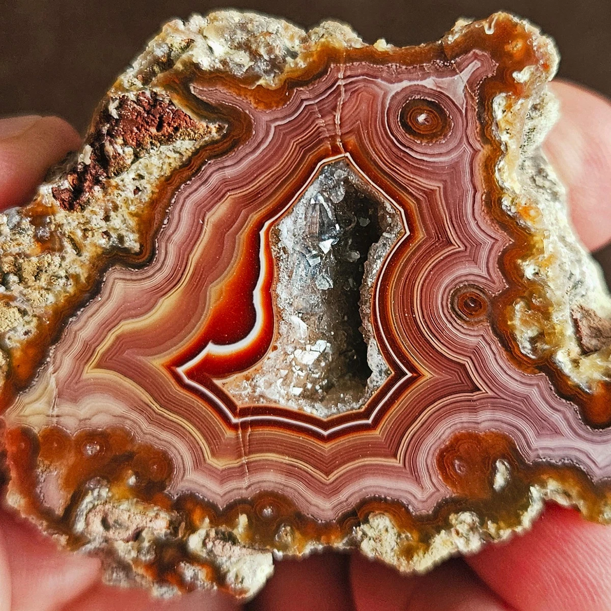 【コレクターズアイテム】ラグーナアゲート Laguna Agate for sale | eBay
