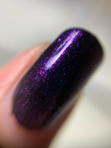 purple top coat