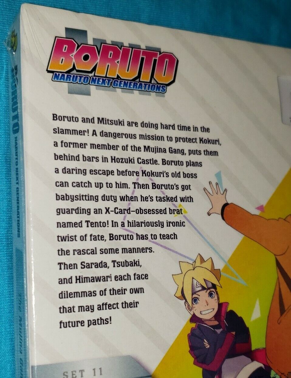 Boruto: Naruto Next Generations: Mujina Gang (DVD) 