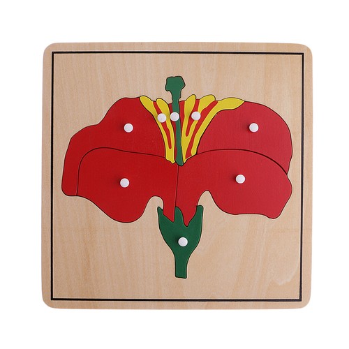 Materiale Botanico Montessori - 3 Puzzle A Forma Di Pianta Per Giocattoli - Foto 4 di 12