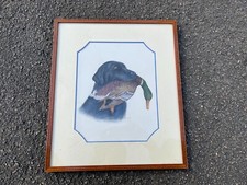 Lithographie encadrée – Labrador au canard