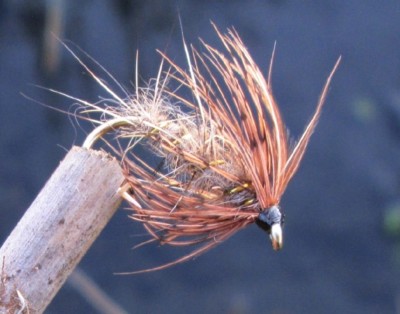 BestCity Prime Hardy's Favourite Nassfliegen - 8 Stück Größe 10 Für Fliegenfischen