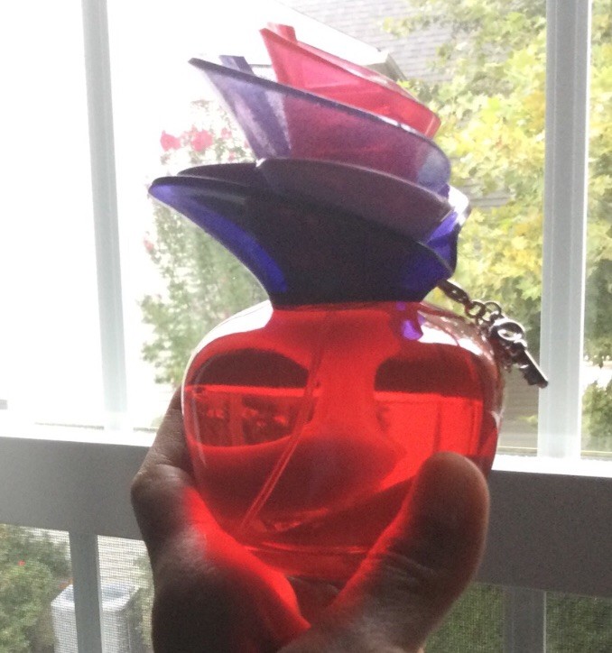 廃盤レア香水　サムデイ バイ ジャスティン・ビーバーオードパルファム 100ml 並行輸入品 ジャスティン ビーバー JUSTIN BIEBER サムデイ