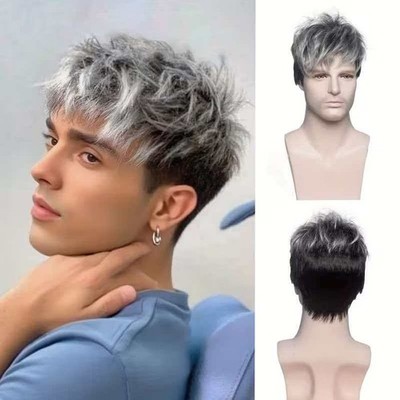 Men's 6in Short Silver Gray Wig Full Cosplay Synthetic Heat Resistant