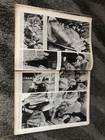 Bild 7 von 18
