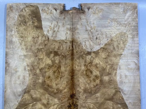 Electric Guitar Top Set Golden Camphor Wood Burl Luthier Supply - Picture 2 of 4