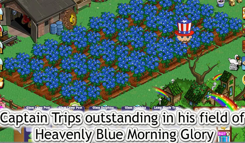 100-200 6 грамм семена Heavenly Blue Morning Glory триколор ипомея необработанные - Изображение 4 из 4