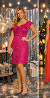 Nwt pink lace ruffle detail dress size 18