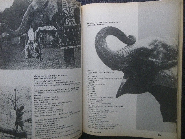 CoEvolution Quarterly 1984 Elephant Alex Grey Stewart Brand Magazine From Japan - Image 3 of 4