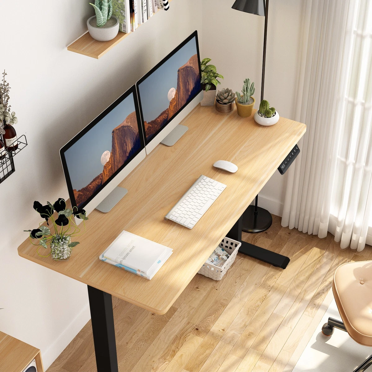 FLEXISPOT Electric Standing Height Adjustable Desk Sit to Stand