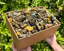 Wholesale Rough Sea Jasper Box - 20 lbs of Natural Raw Sea Jasper Crystals