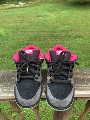 nike sb northern lights low