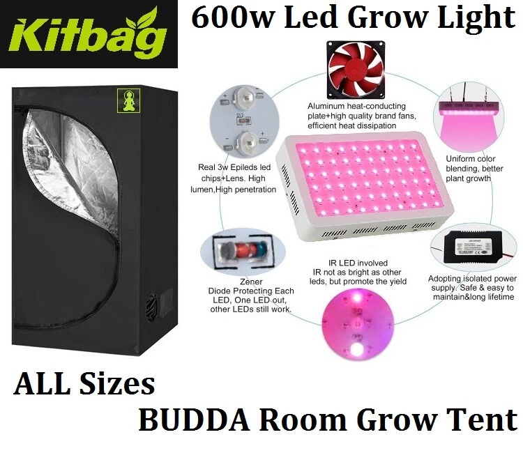 Best led chips on sale for growing