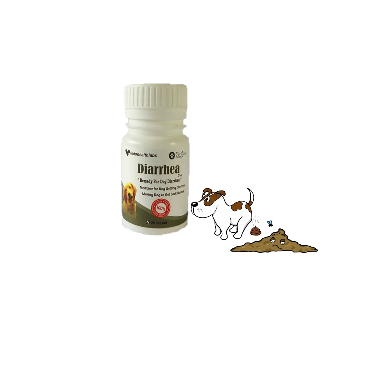 Canine hot sale diarrhea medicine