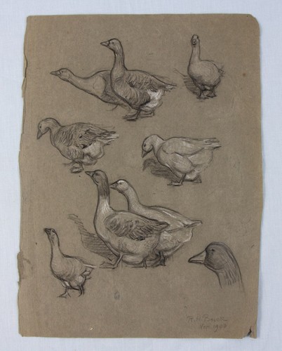 FARM animals Richard Henry BROCK original sketches on 10 sheets CAMBRIDGE artist - Picture 5 of 20
