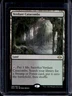 2021 Magic MTG Modern Horizons 2 Verdant Catacombs #260