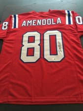DANNY AMENDOLA  (PATRIOTS) AUTOGRAPHED JERSEY   J.S.A. AUTHENTICATED