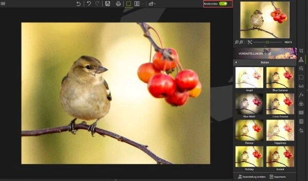Photo Studio 10 Pro Windows (Code in a Box) EAN 4023126121820 - Bild 2 von 4