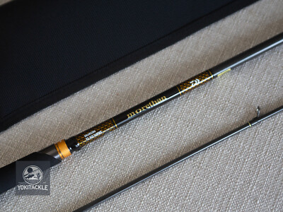 Daiwa Morethan BRANZINO EX AGS 94MMH Spinning Rod Shipping From