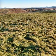 Photo 6x4 Rough pasture at 270m above sea level Kirk of Shotts Papperthil c2021