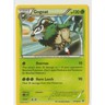 Pokémon Gogoat BREAKthrough 17/162 EN Regular