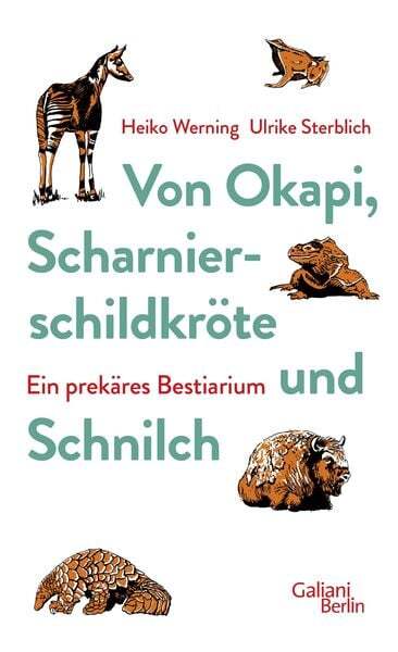 Thumbnail - Von Okapi, Scharnierschildkröte Und Schnilch