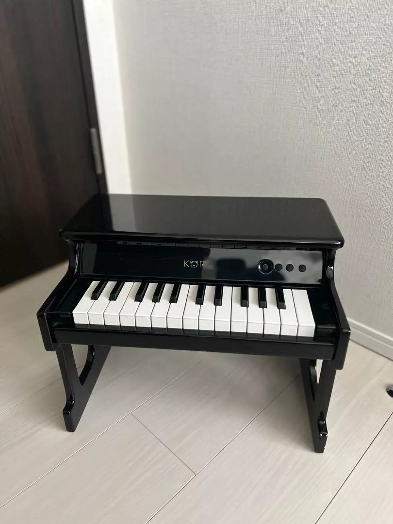 Korg tinyPIANO Digital Toy Piano 25 key Black From Japan NO Box adapter USED
