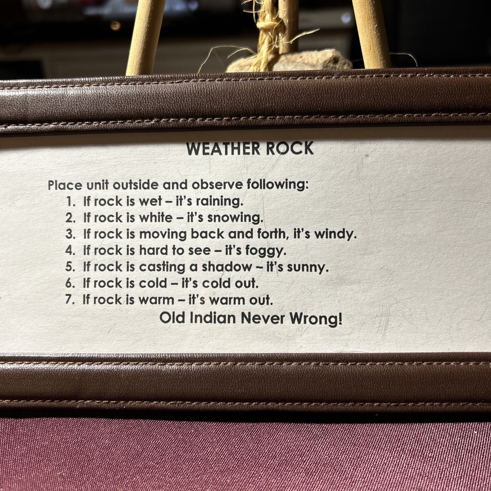 A 'Weather Rock' gag gift — a rock with a deadpan instruction card explaining how to 'read' the weather; a timeless, zero-tech joke gift.